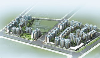 成华区龙潭片区新居工程配套市政道路工程项目管理概述