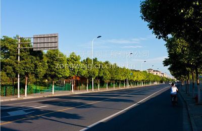 融合生态与都市 上海道路绿化工程施工与景观设计深度解析